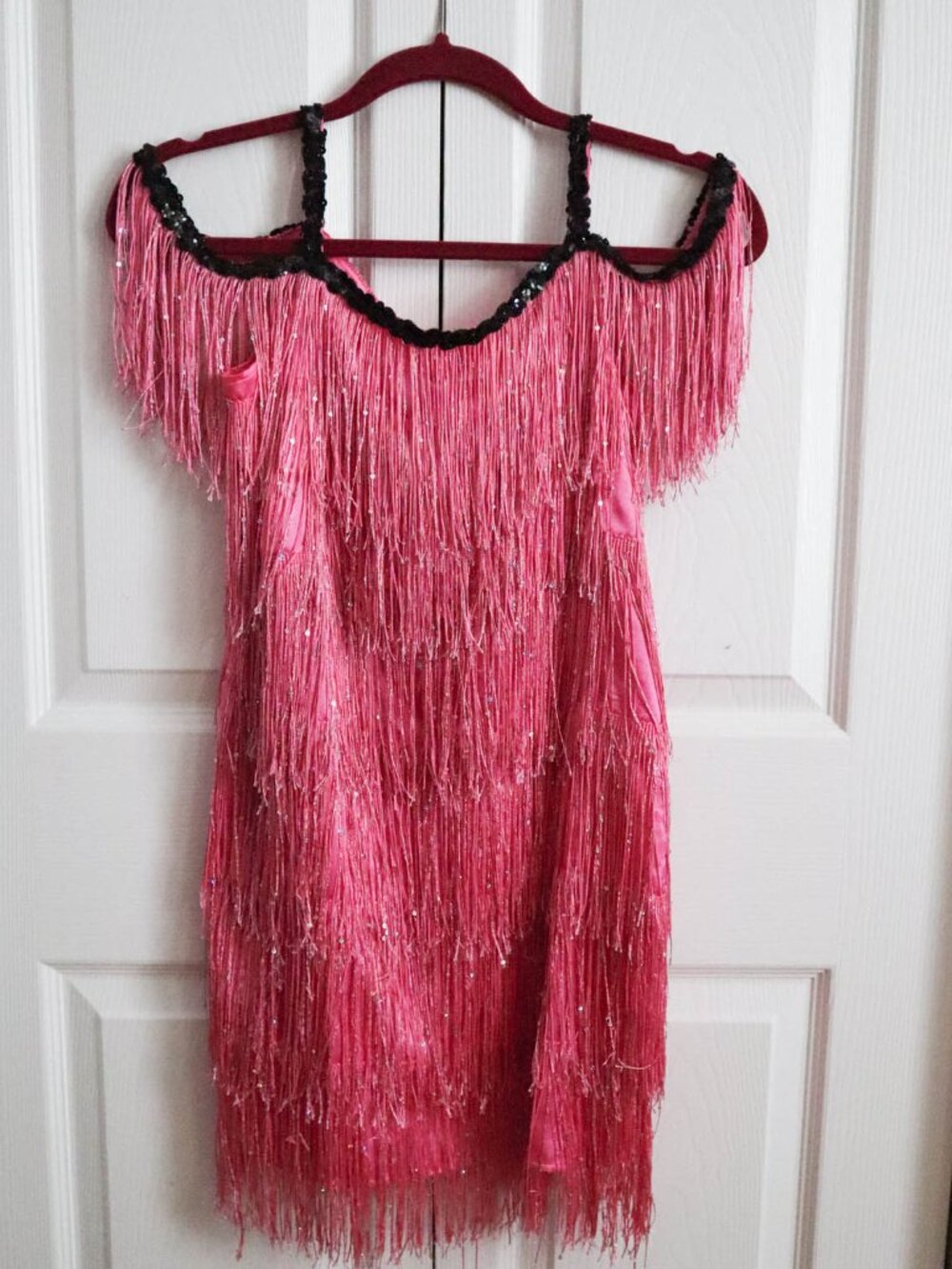 Chasing Fireflies Girls' Flapper Dress Costume Sz 12 Fringe Sequins Dolly Parton